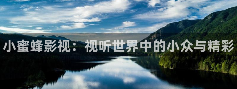 飞马影视电影：小蜜蜂影视：视听世界中的小众与精彩