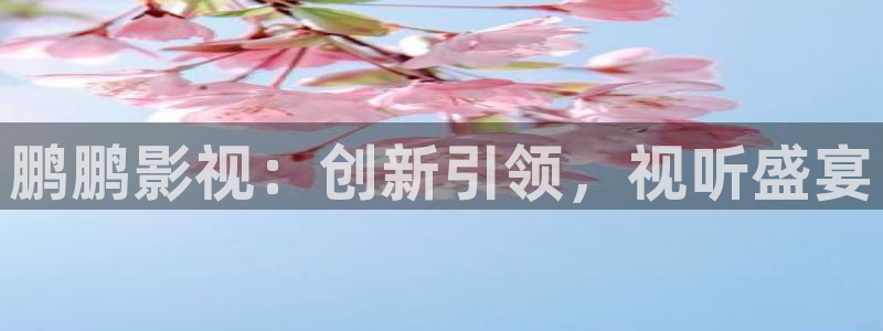 飞马影视电影：鹏鹏影视：创新引领，视听盛宴
