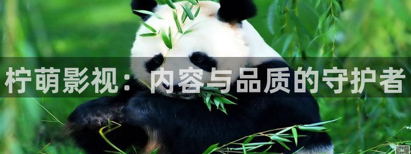 飞马影院在线观看：柠萌影视：内容与品质的守护者