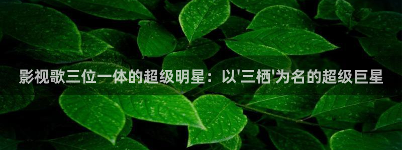 飞马影院app