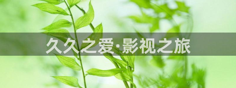 飞马影院app：久久之爱·影视之旅