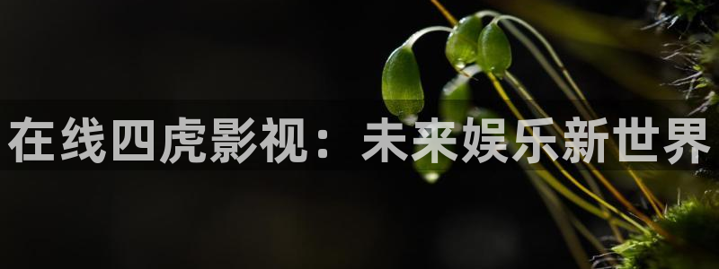 飞马良子影视有限公司：在线四虎影视：未来娱乐新世界
