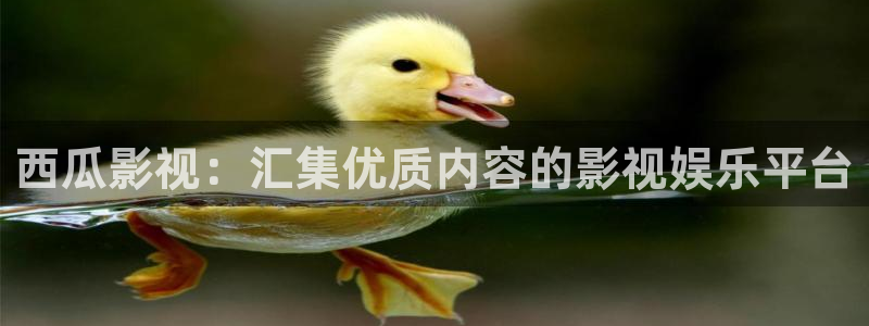 飞马影院下载安装：西瓜影视：汇集优质内容的影视娱乐平台