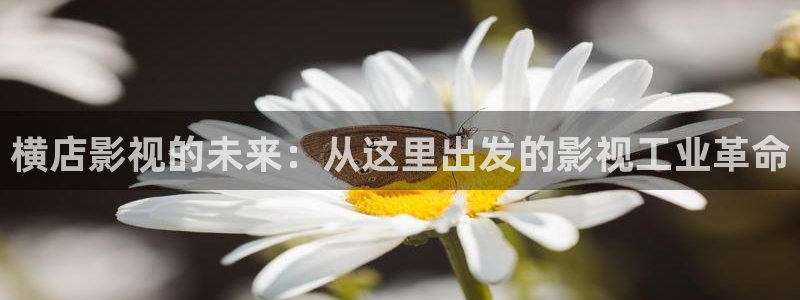 飞马影院在线观看