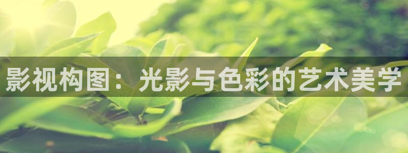 飞马良子影视有限公司