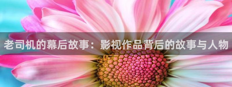 飞马良子影视有限公司：老司机的幕后故事：影视作品背后的故事与人物