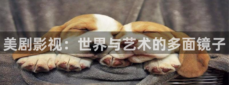飞马影视电影：美剧影视：世界与艺术的多面镜子