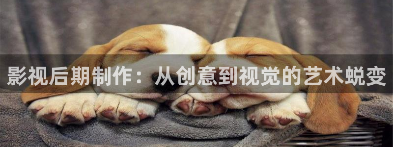 飞马良子影视有限公司